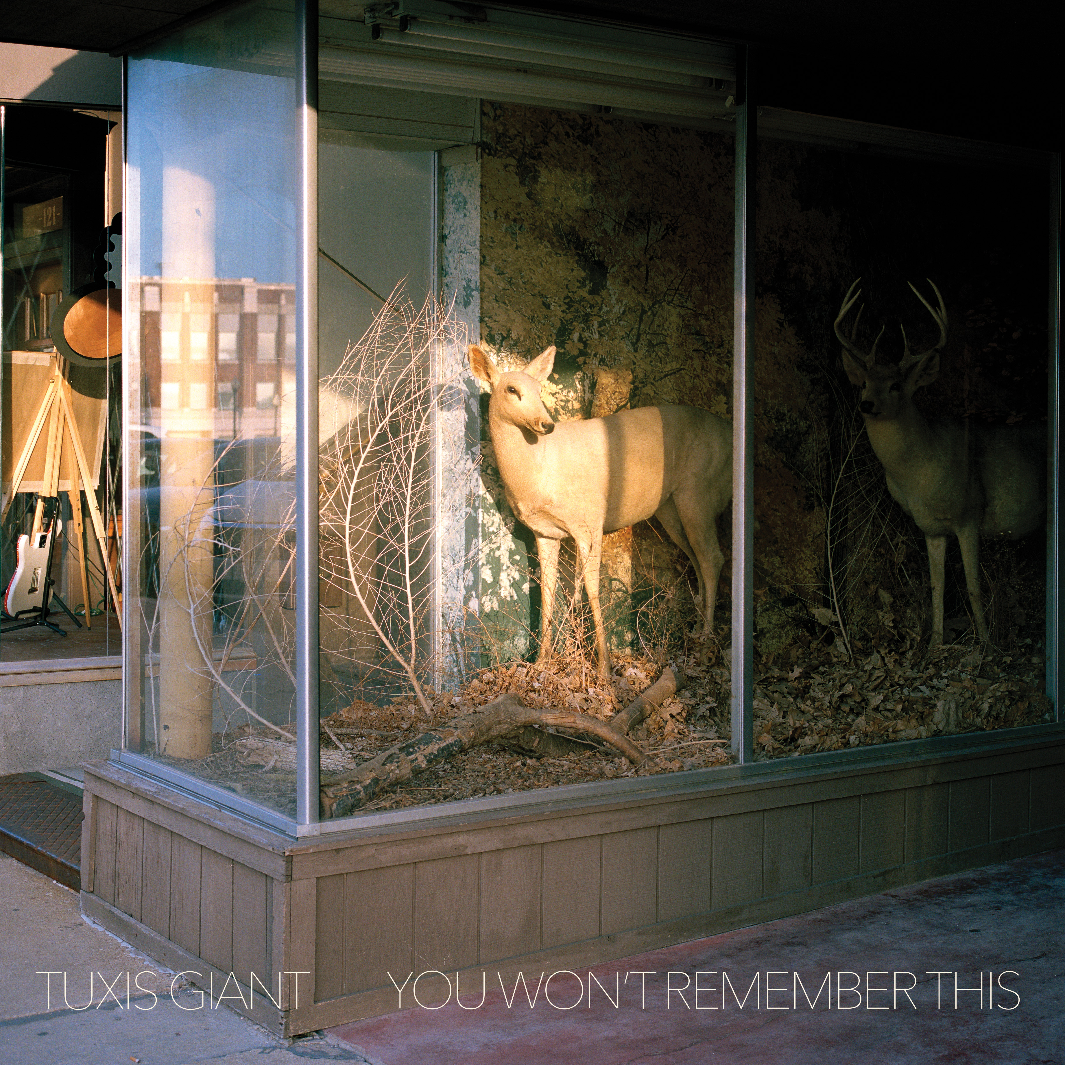 Tuxis Giant – You Won’t Remember This