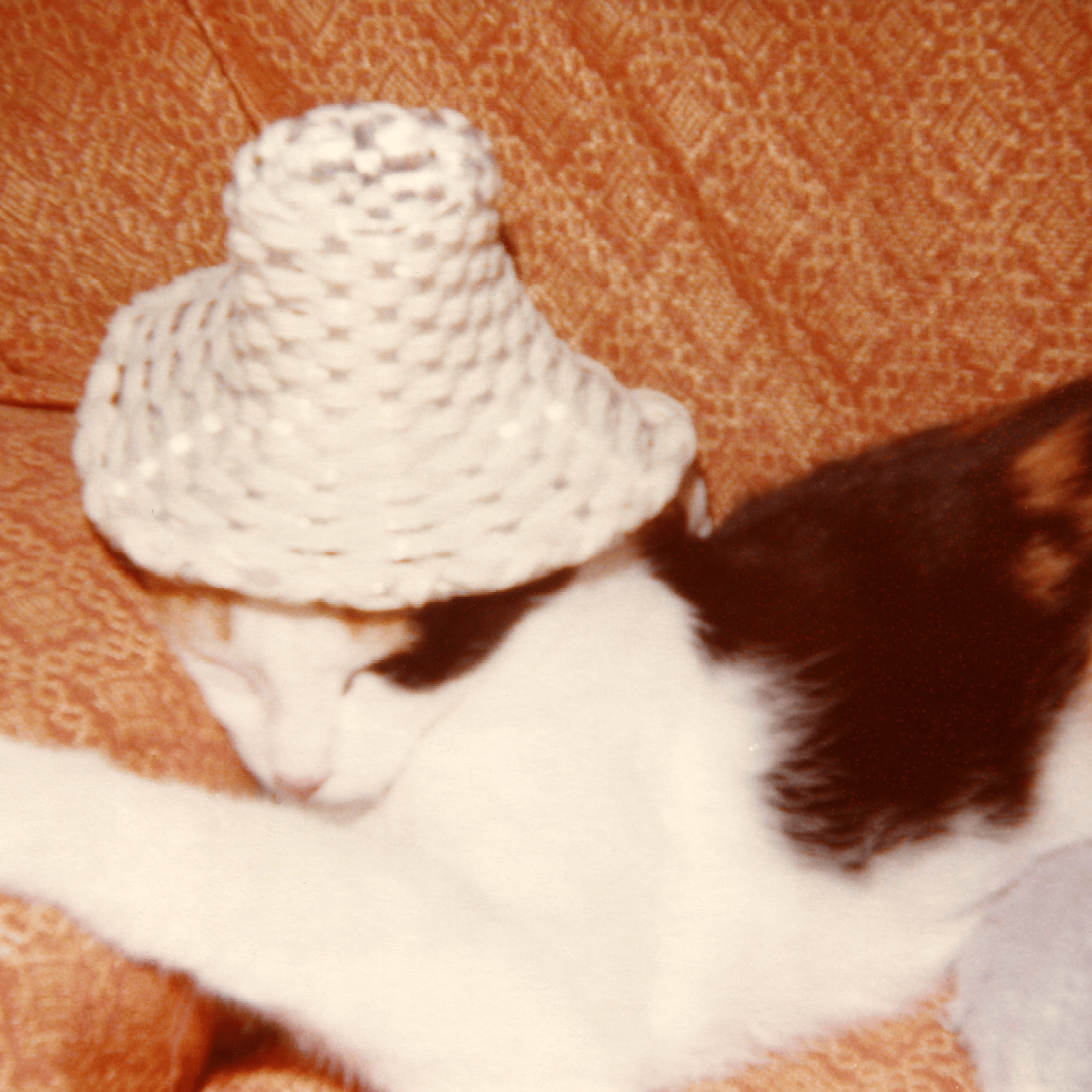 Dre Dupuis – Dre Dupuis